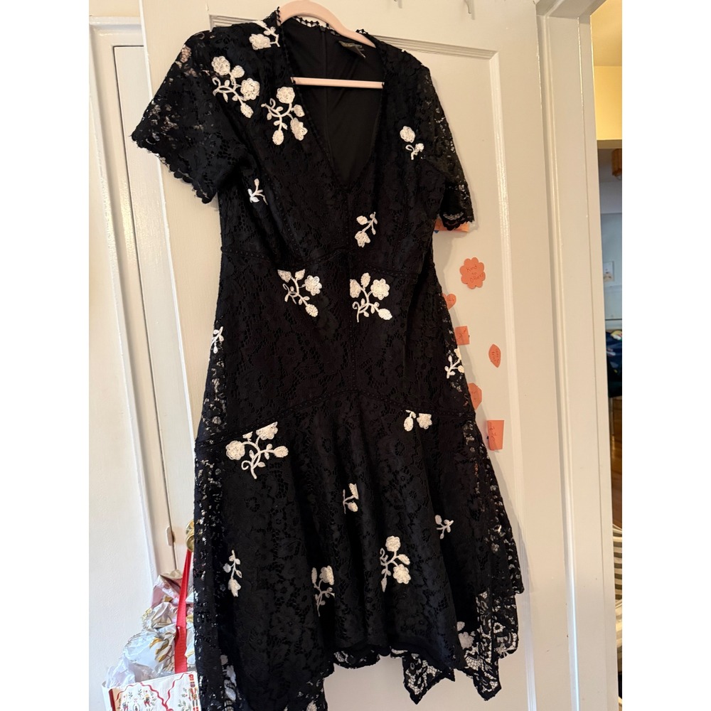 Taylor Black Lace Floral Embroidered Fit & Flare V-Neck Dress Size 16 C/T 607147